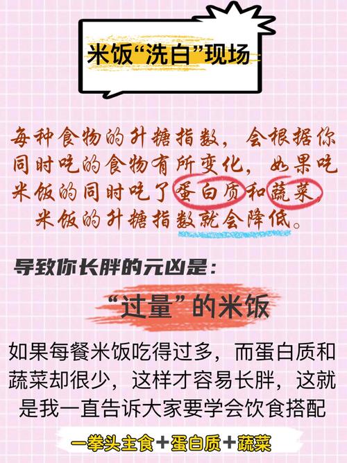 想减肥什么能发挥米饭