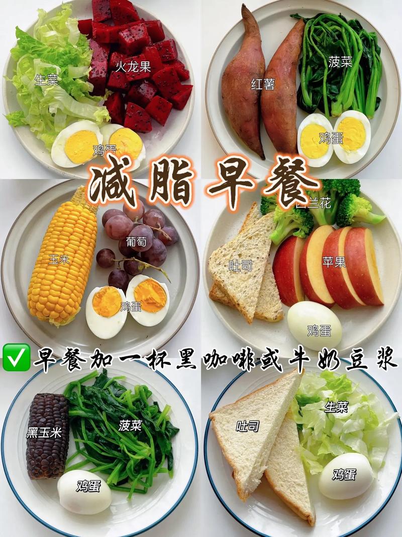 上班族中午吃什么减肥效果好