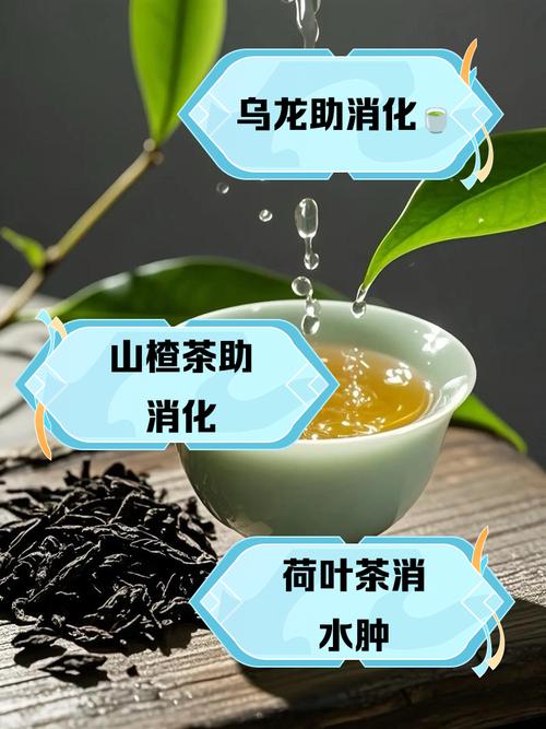 减肥的是什么茶叶