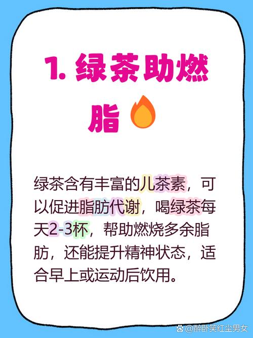 减肥的是什么茶叶