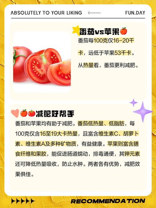 西红柿和什么水果可以减肥