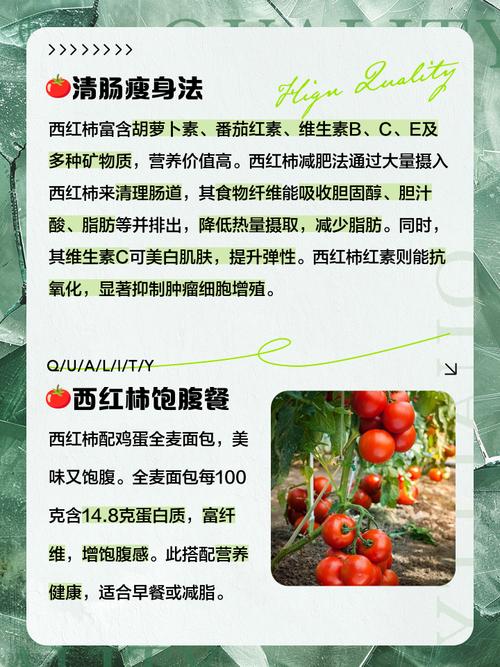 西红柿和什么水果可以减肥