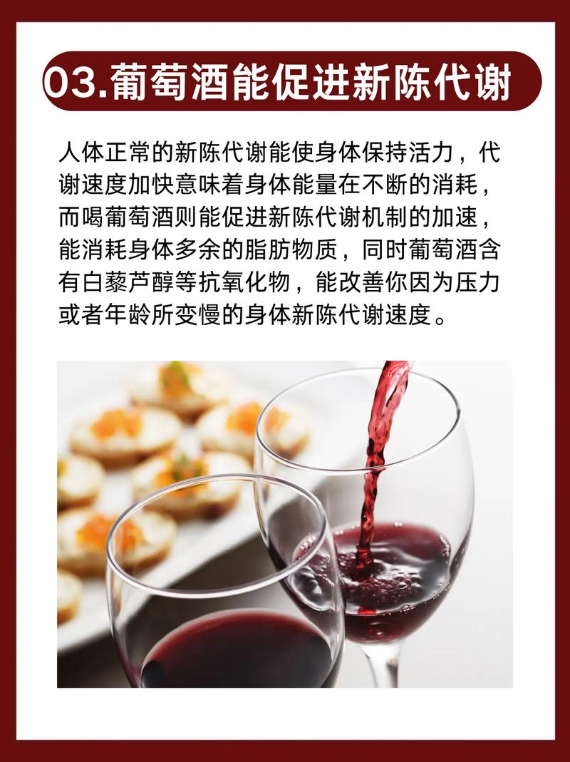 为什么减肥不能喝酒