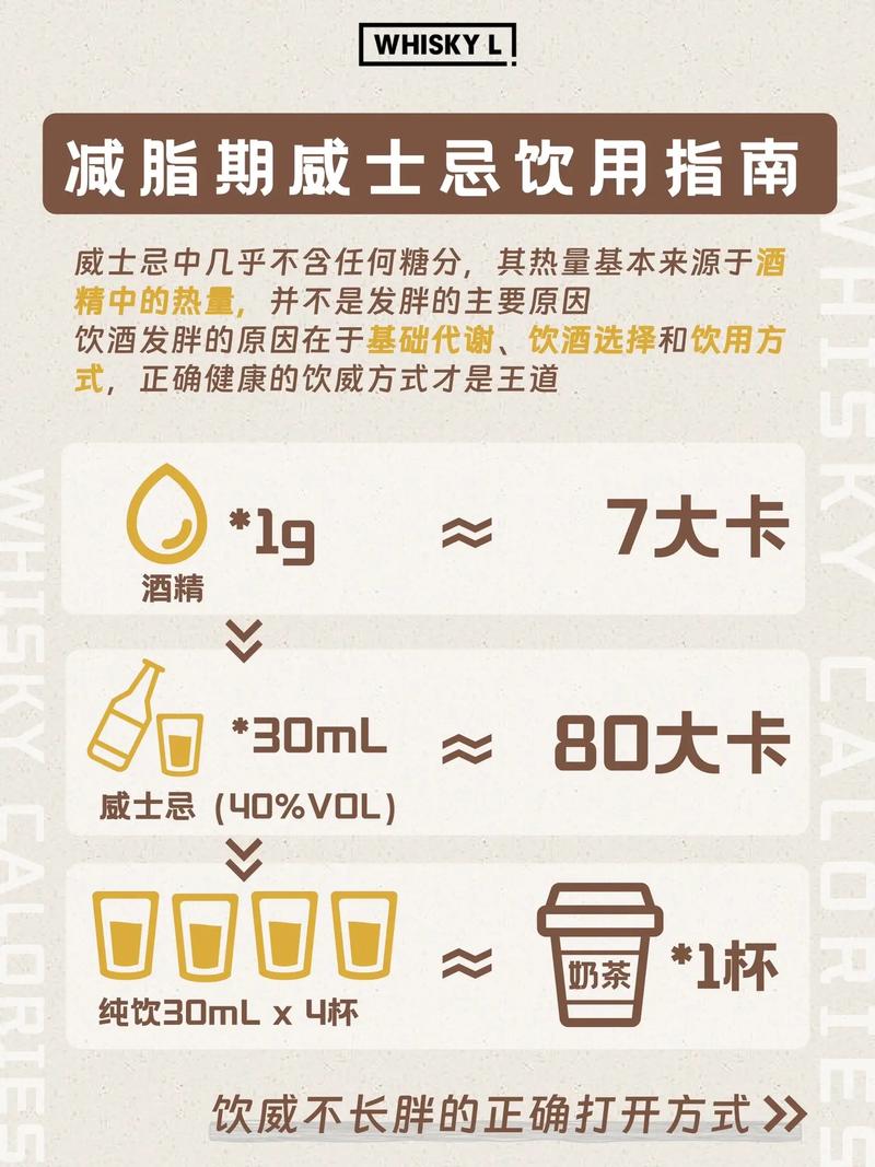 减肥为什么不能喝酒