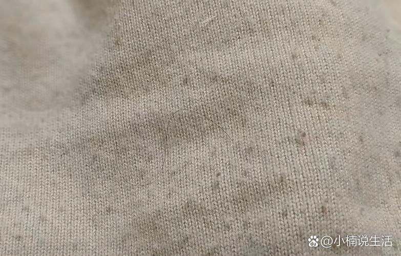 什么料子会起球