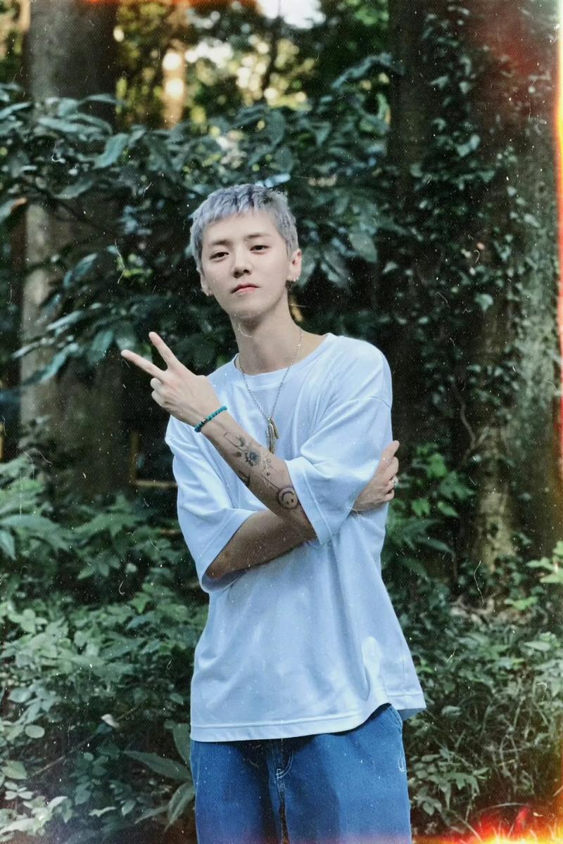 鹿晗是干什么的