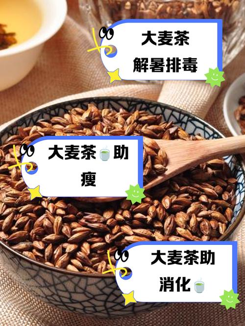大麦茶配什么喝才减肥