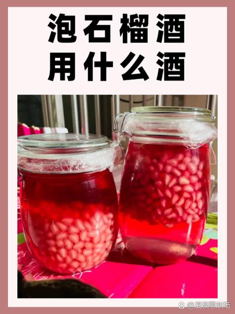 酒泡什么能减肥