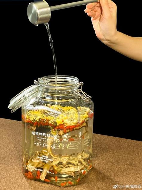 酒泡什么能减肥