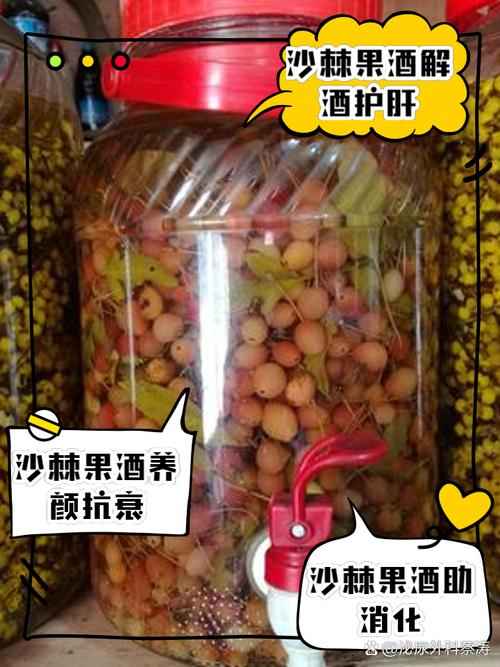 酒泡什么能减肥