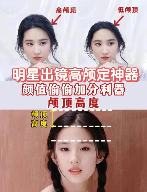 额头高是什么意思