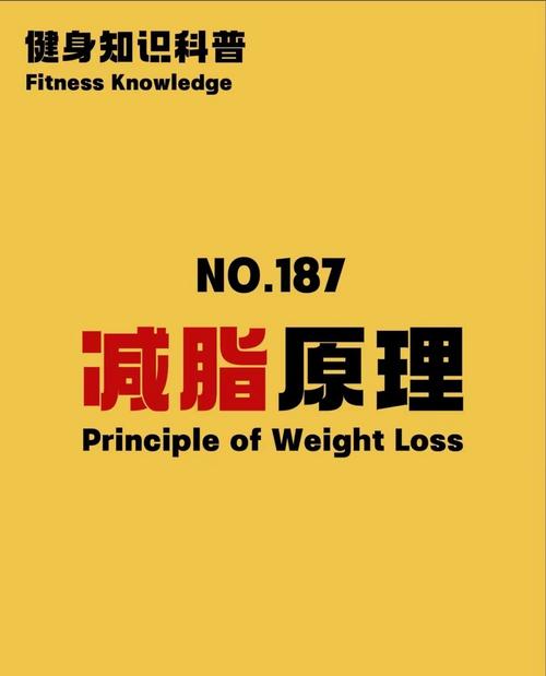 减肥依据的原理是什么意思