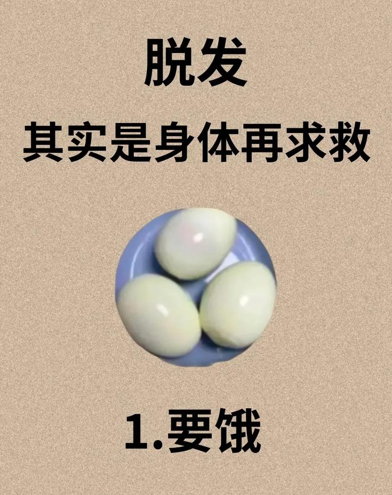 吃什么不会掉发