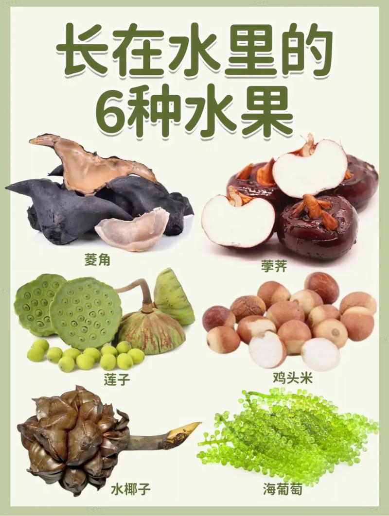 吃什么水果长胸