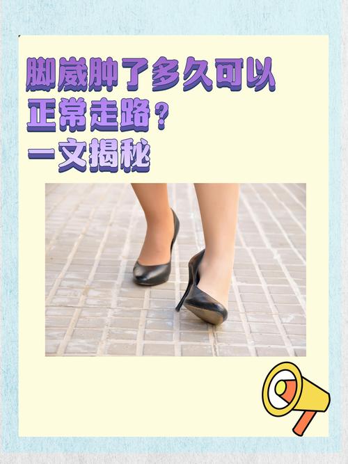 下腿是什么