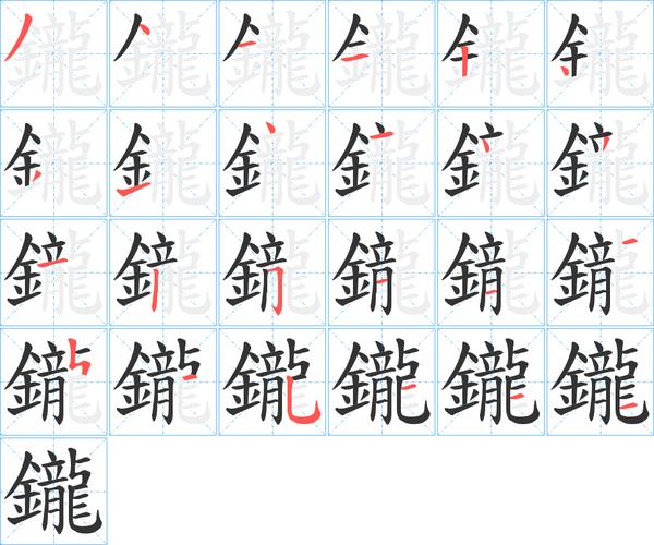 甴读什么