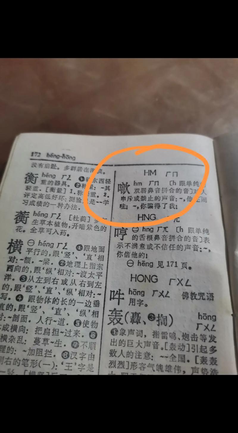 甴读什么