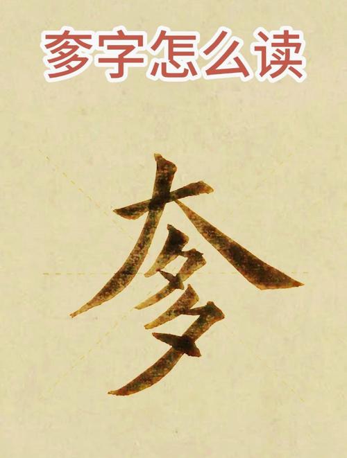 甴读什么