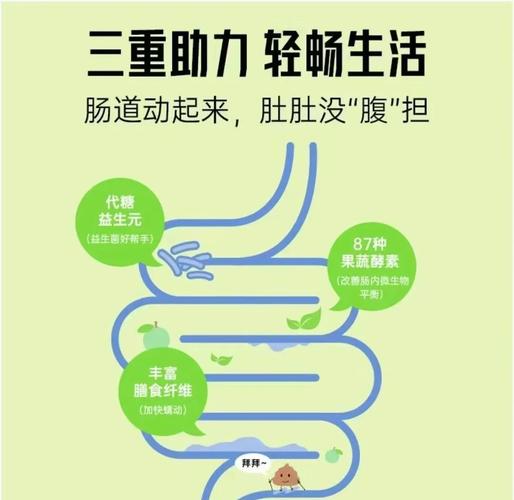 酵素减肥注意什么