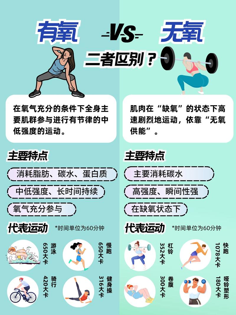 有氧运动是指什么运动