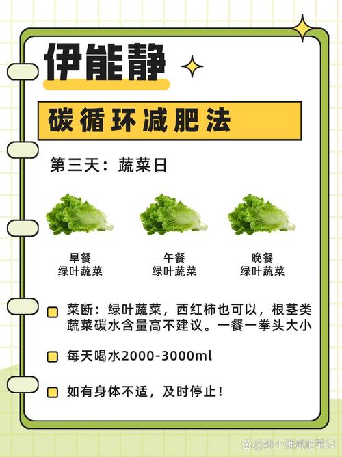 酵素减肥什么时间最好