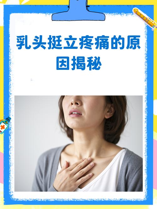 乳头挺立什么原因