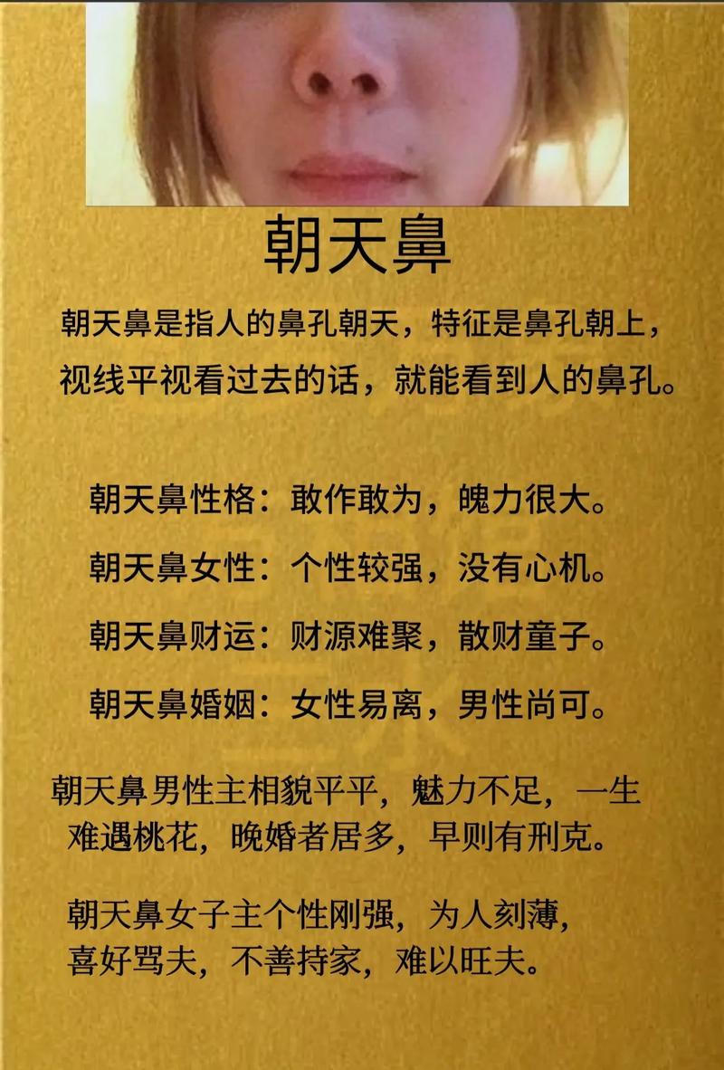 什么是朝天鼻