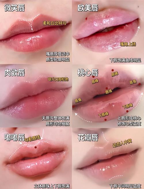 丰唇是什么意思