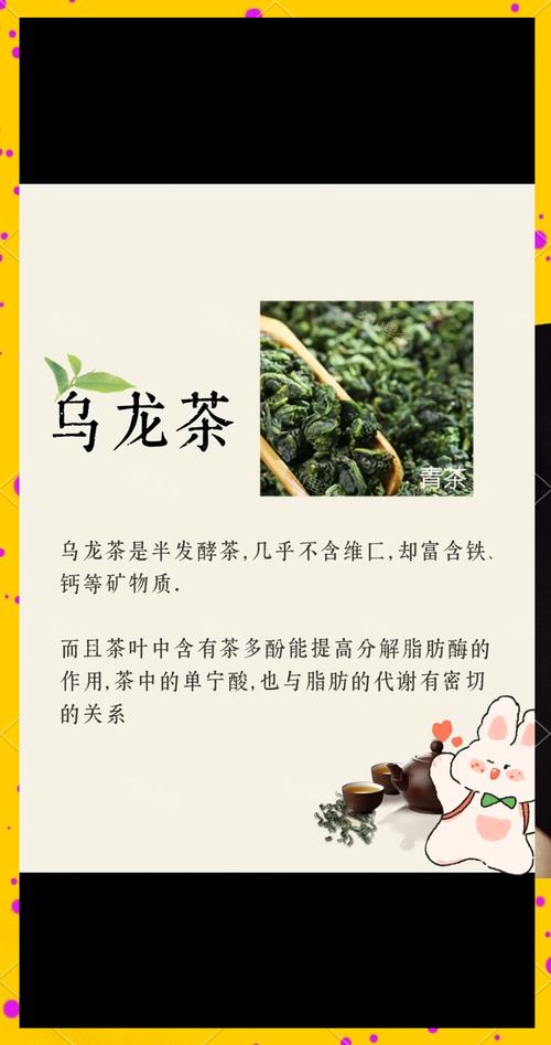 喝什么茶可以刮油减肥