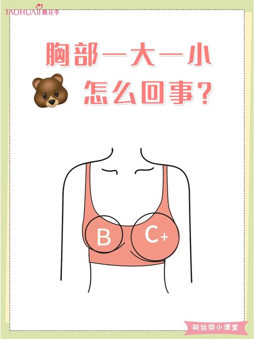 为什么会大小胸