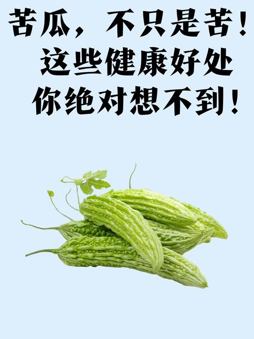 苦瓜为什么有减肥效果