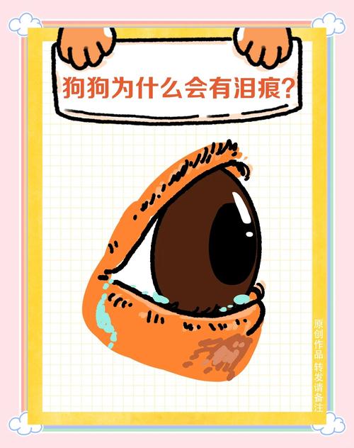 狗什么是泪痕