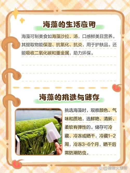 什么样的海藻减肥好