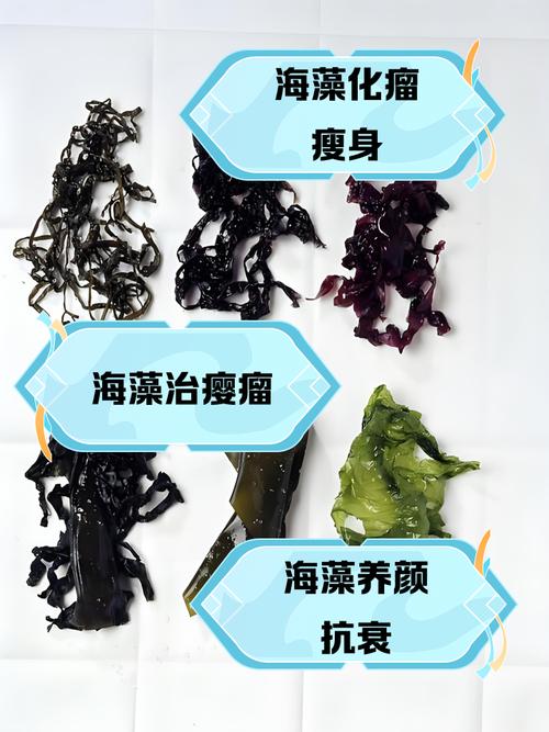 什么样的海藻减肥好