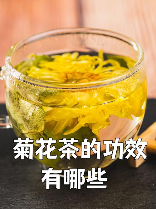 什么菊花茶减肥吗