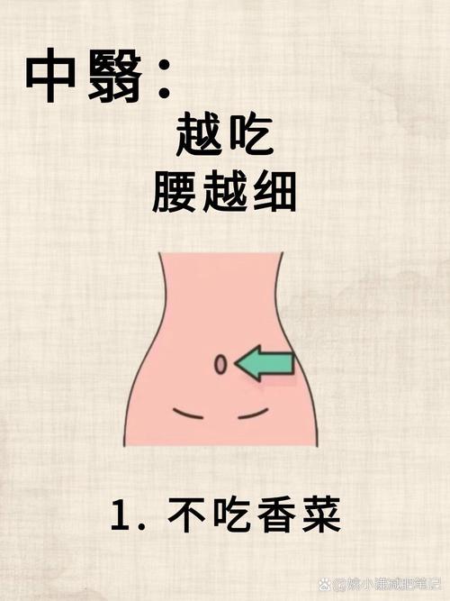 什么是腰部溶脂减肥