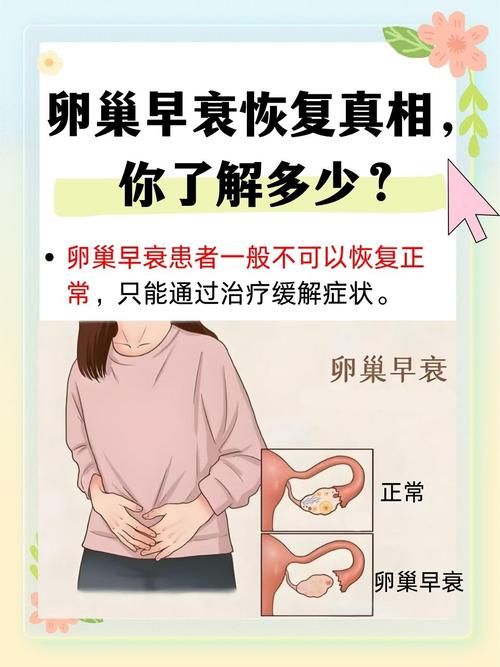 卵巢起什么作用