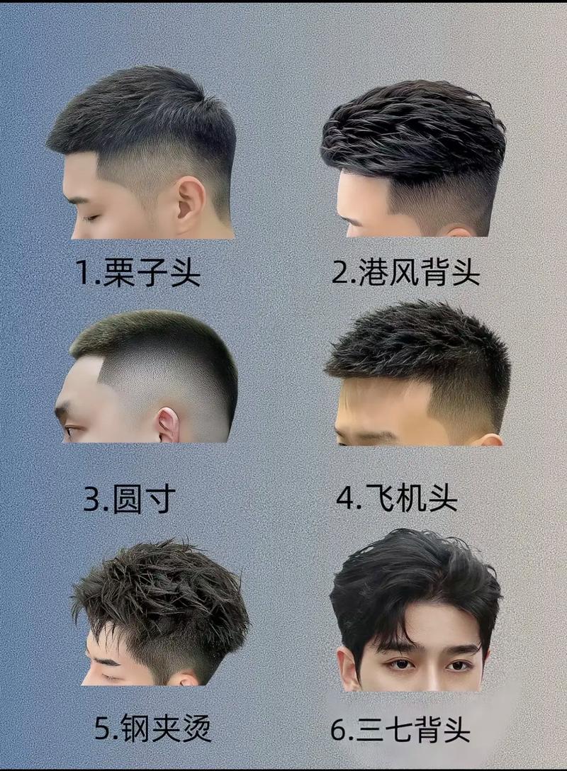 男发质硬适合什么发型