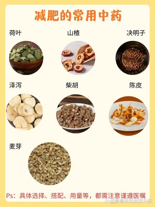 泡什么中药减肥效果好吗