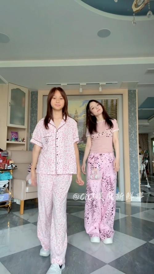 李小璐减肥学的什么舞