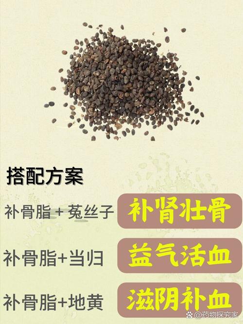减肥用什么中药效果好吗