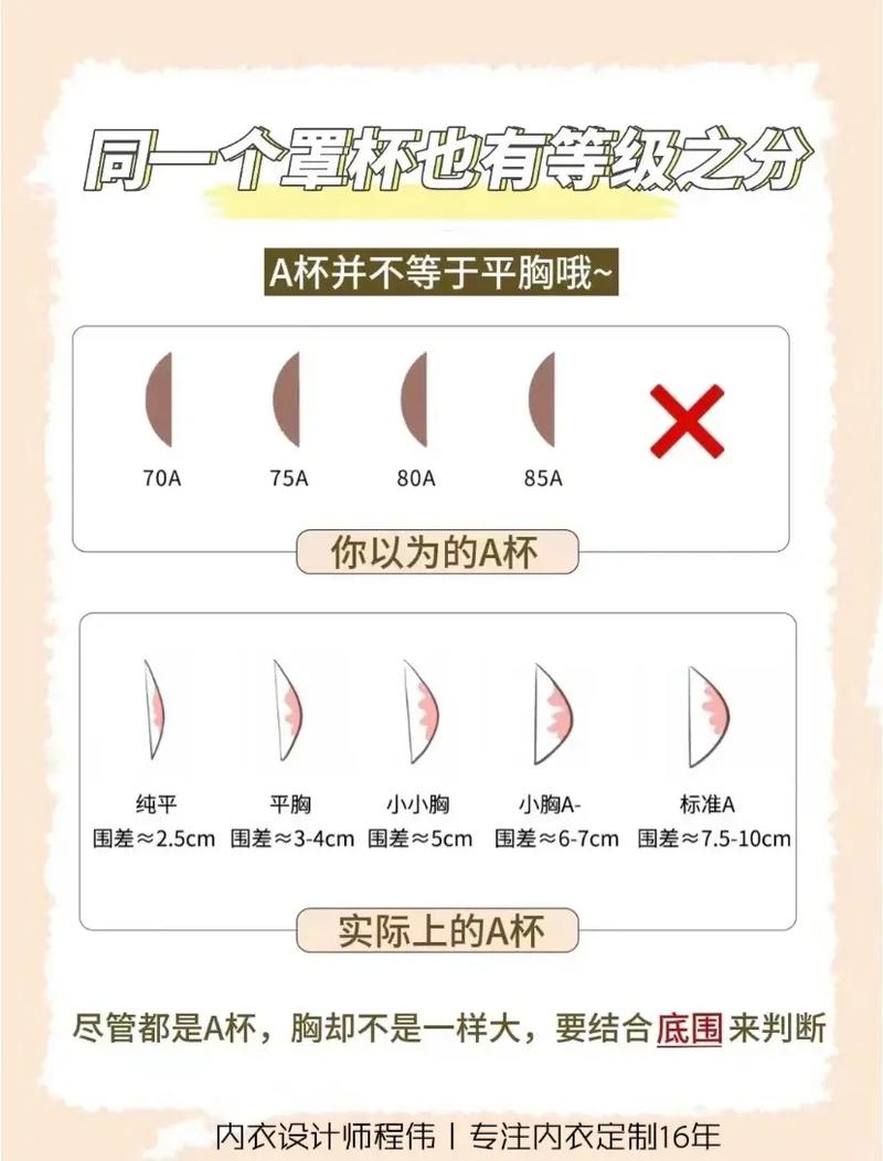 什么是c罩杯