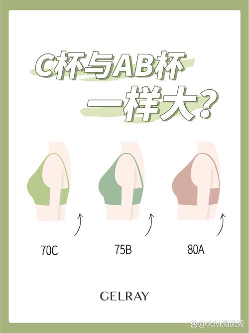 什么是c罩杯