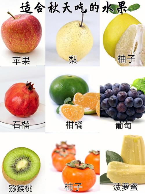 秋季多吃什么水果