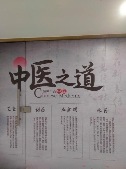 中医减肥看什么科