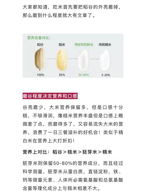 胚芽米为什么能减肥