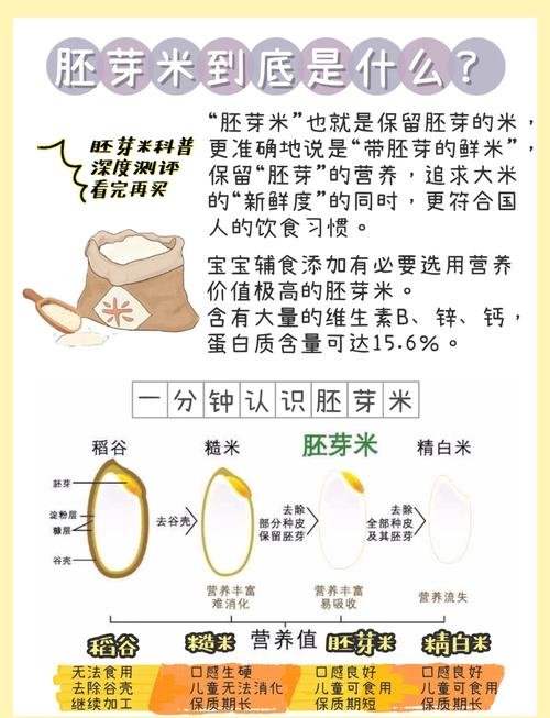 胚芽米为什么能减肥