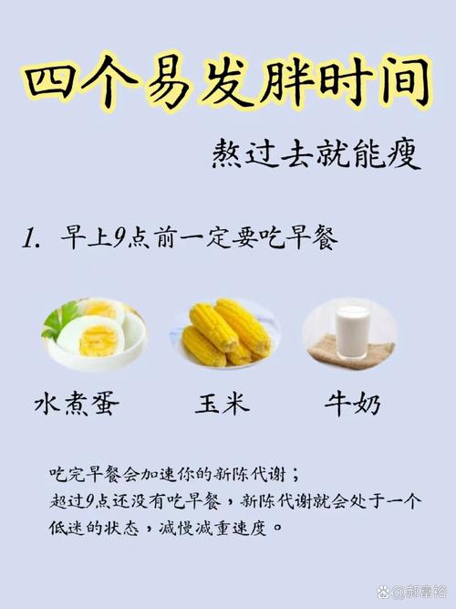 减肥为什么吃点就胖