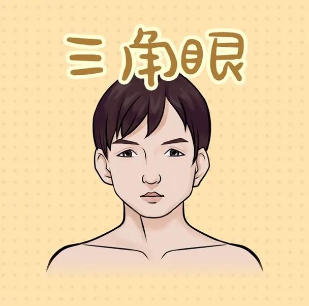 什么是方眼