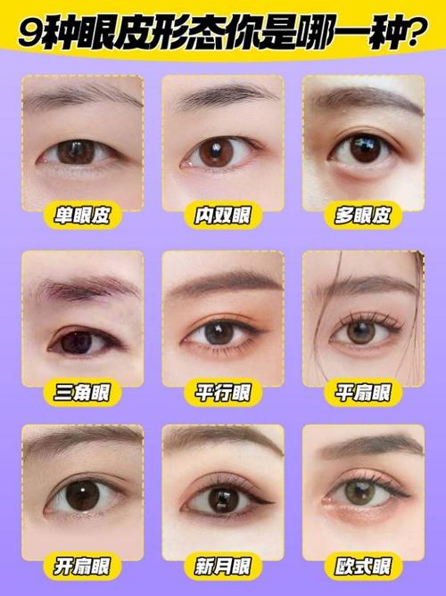 为什么眼皮一单一双